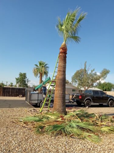 Imagen de WhatsApp 2025-08-25 a las 00.12.37_c217b93f